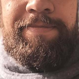 Joao Beardy
