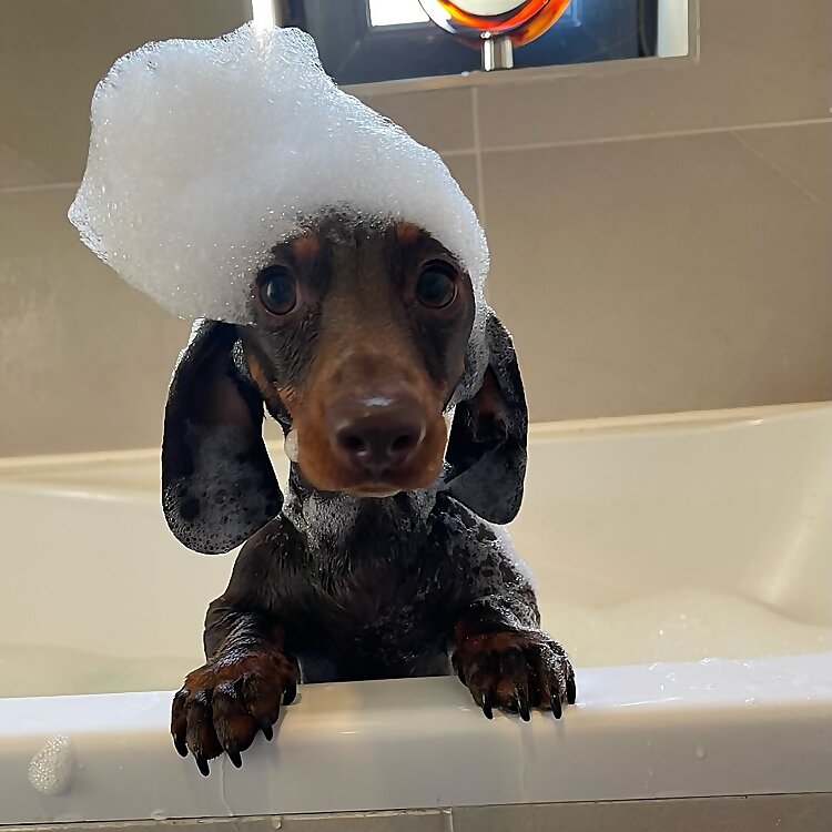 Benny