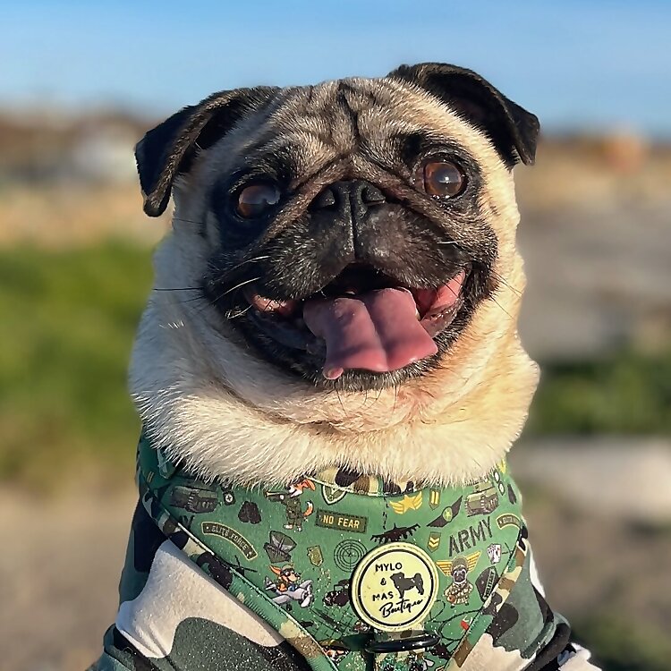 Martina and Michaela