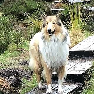 Molly