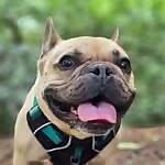 Reuben
