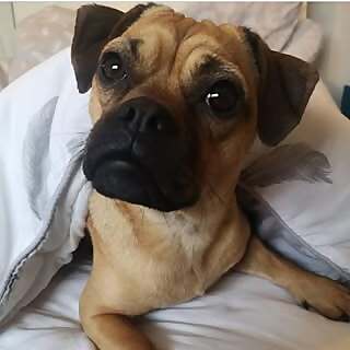 Kevin