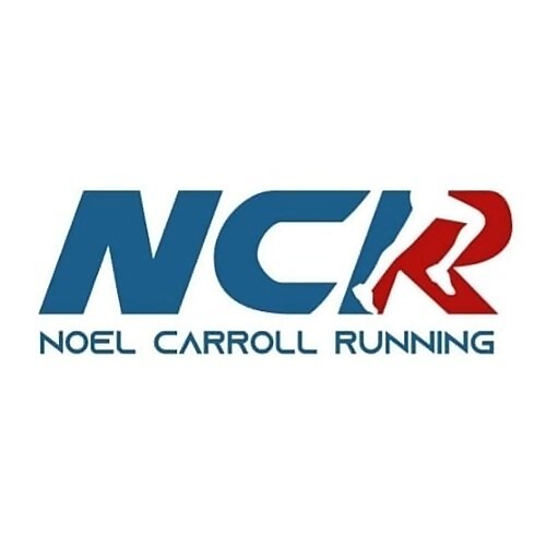 Noel Carroll