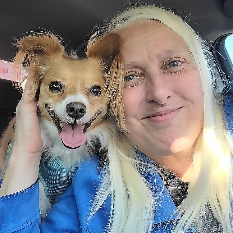 Jodi Jill