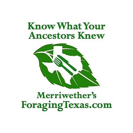 Dr. Mark Vorderbruggen