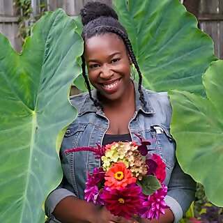 Nichollette Shorts - Hernandez