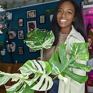 Ashley Nussman-Berry