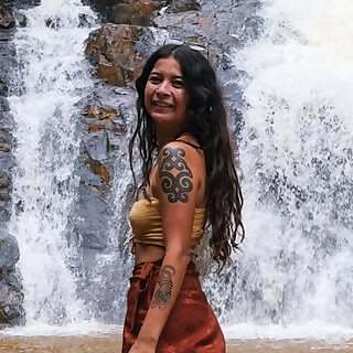 Nic Roams