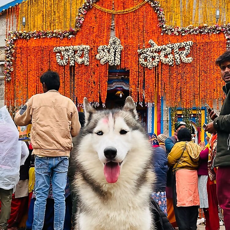 Nawab Tyagi