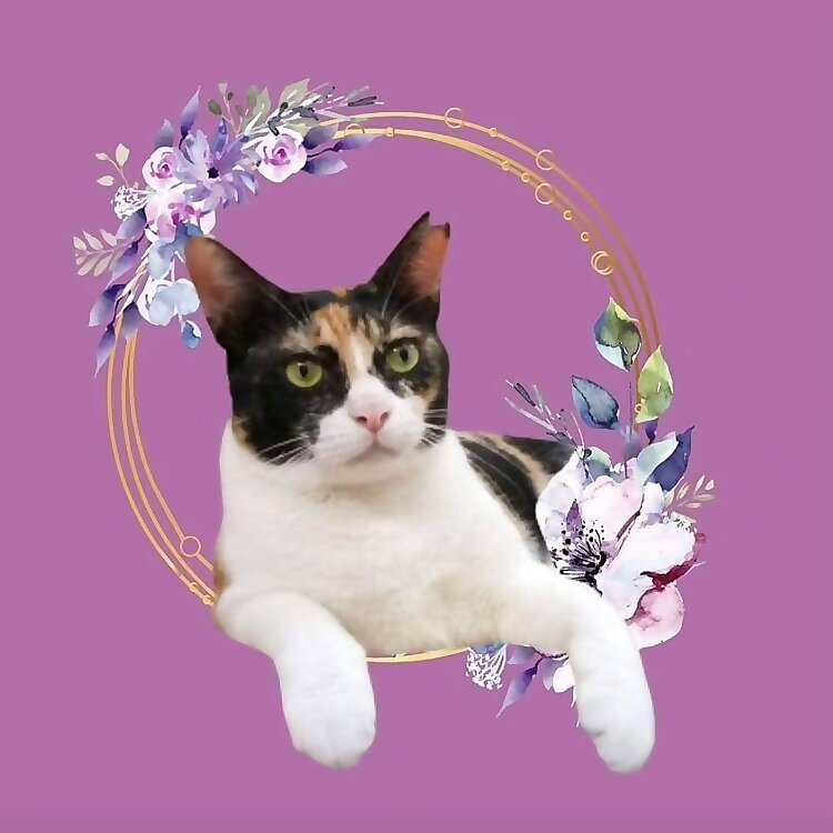 Meenu