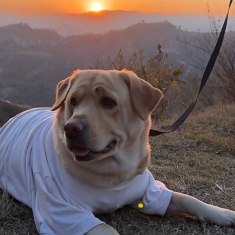 Labra Rubi