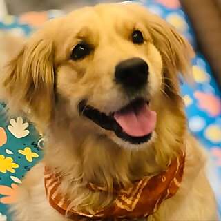 Ankit Mishra