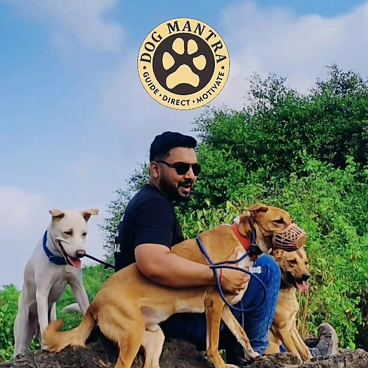 Aakash Shukla