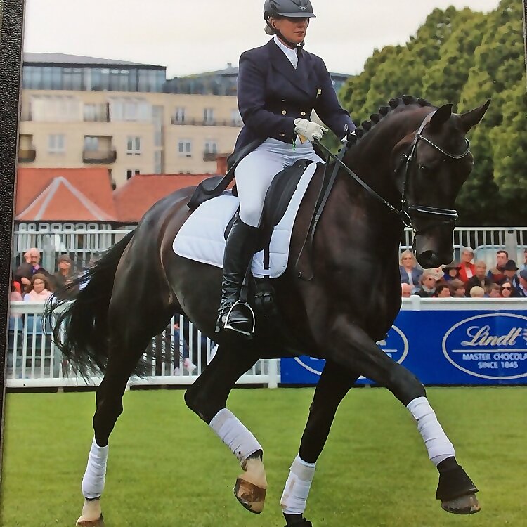 Heike Holstein