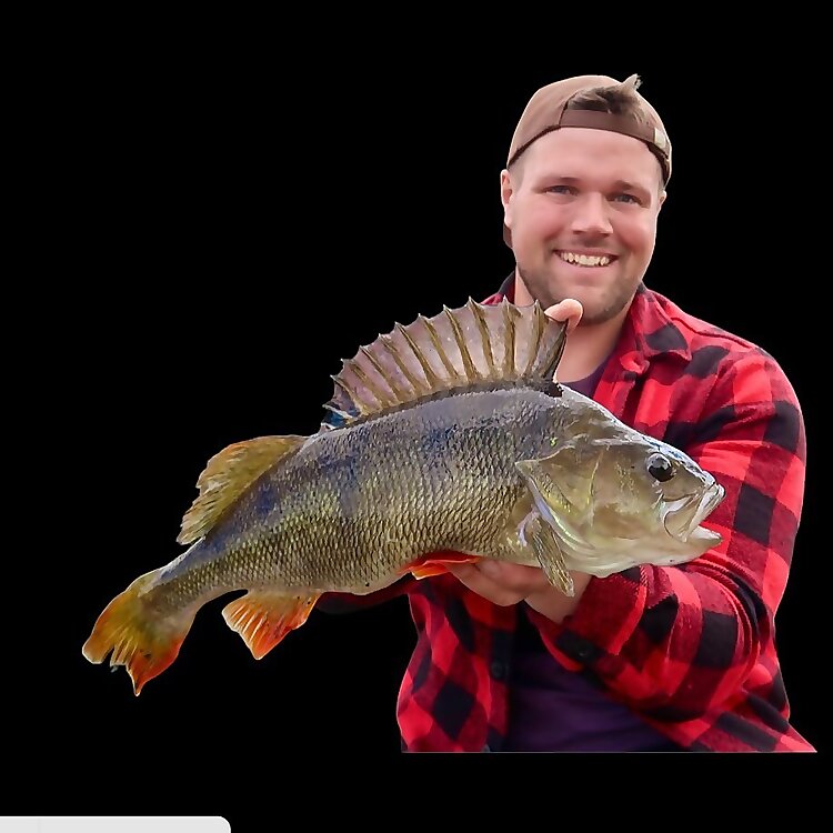 Dan Bucknall