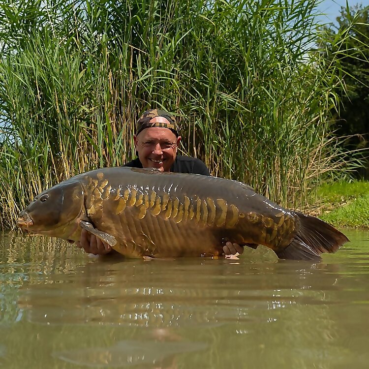 Ed Betteridge