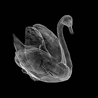 Anna Heinrich and Leon Palmer