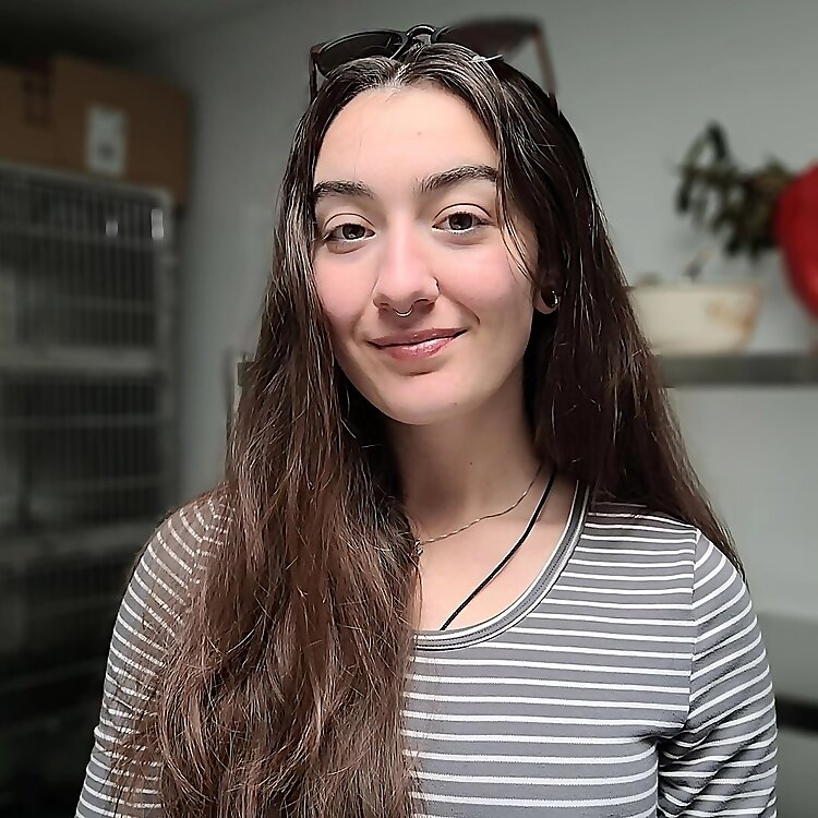 Morgane Ristic