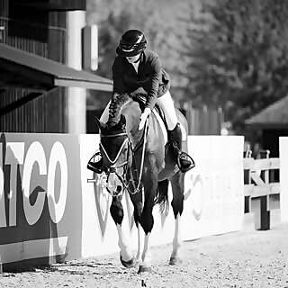 Ashley Victoria Arnoldt