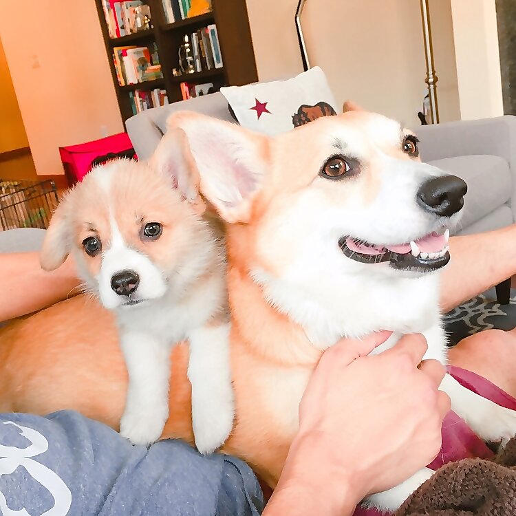 Maple and Morty
