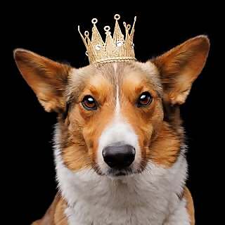 Agatha Crerar-Gilbert