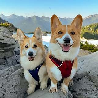 Angus & Jono