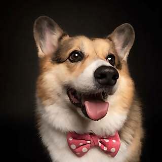 Oscar