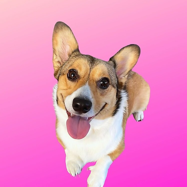 Rigby