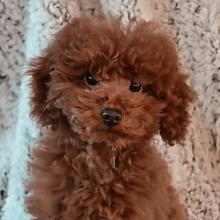 Milo