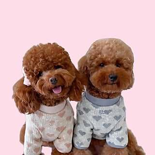 Rio & Fresa