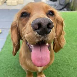 Shanna Pidoux & Joe Xuodip