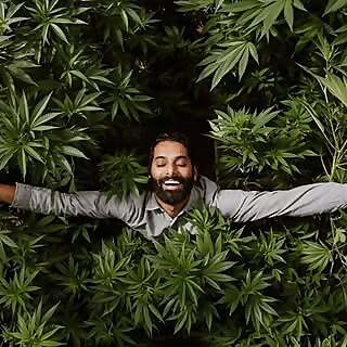 Krishna Andavolu