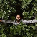 Krishna Andavolu