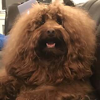 Prince