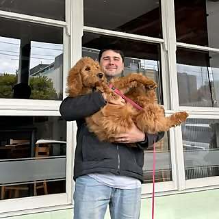 Dr Mark J Tenenbaum