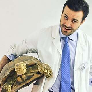 Nicola Di Girolamo