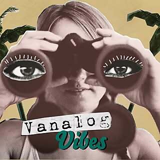 Vanalog Vibes