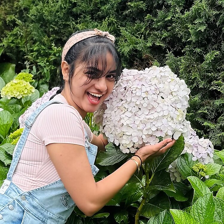 Shereena Fernanado