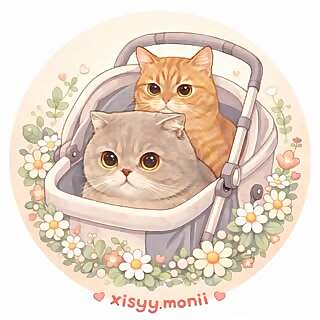 Xisy & Moni 