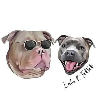 Lulu and Tuktuk 