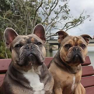 Ralphy & Ryders 