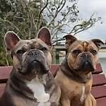 Ralphy & Ryders 