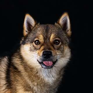 Rufus Du