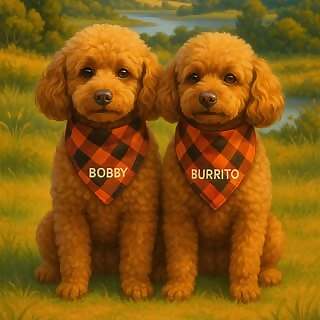 Burrito & Bobby