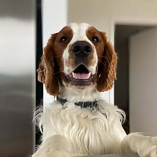 Jonty, Biggie & Jess