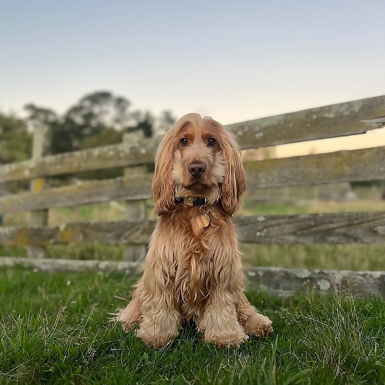 Monty