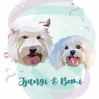 Jjangi & Bomi