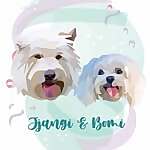 Jjangi & Bomi