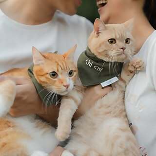 Kiki & Chichi