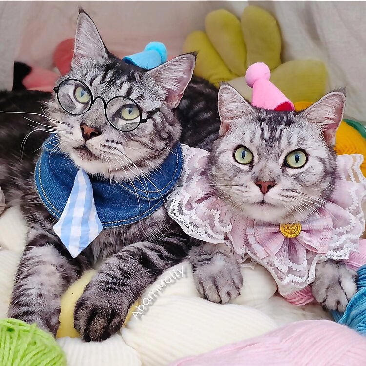 Abam & Molly